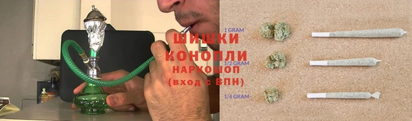 стаф Тавда