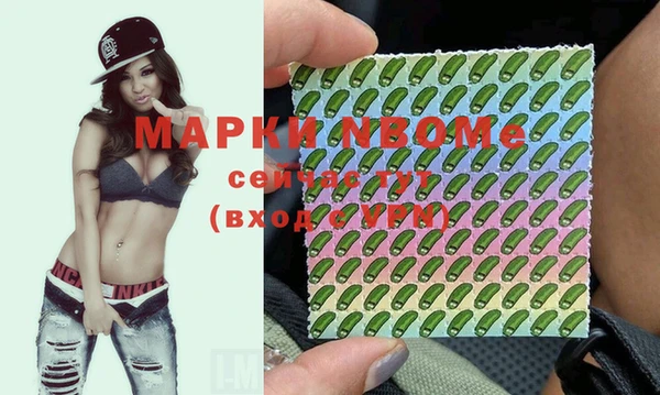молекула духа Тайга