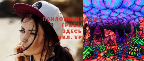молекула духа Тайга