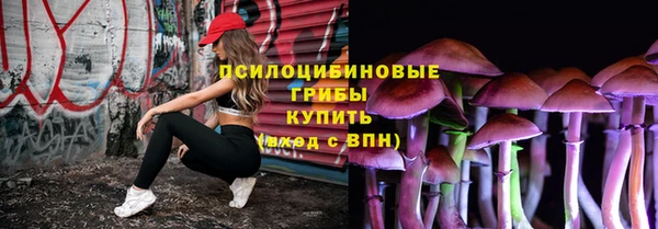 стаф Тавда