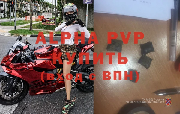 прущие крисы Иннополис